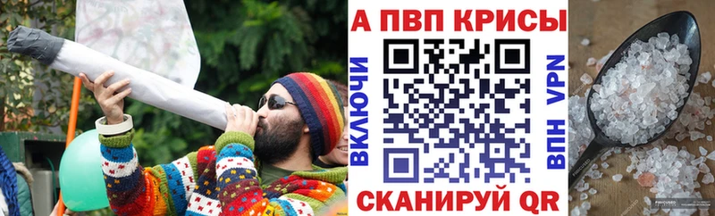 Альфа ПВП СК КРИС Большой Камень
