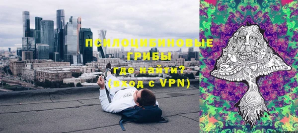ешки Саяногорск