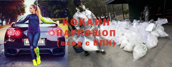 ешки Саяногорск