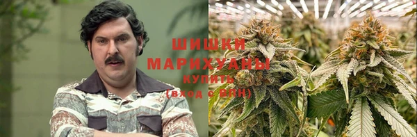 стафф Алзамай